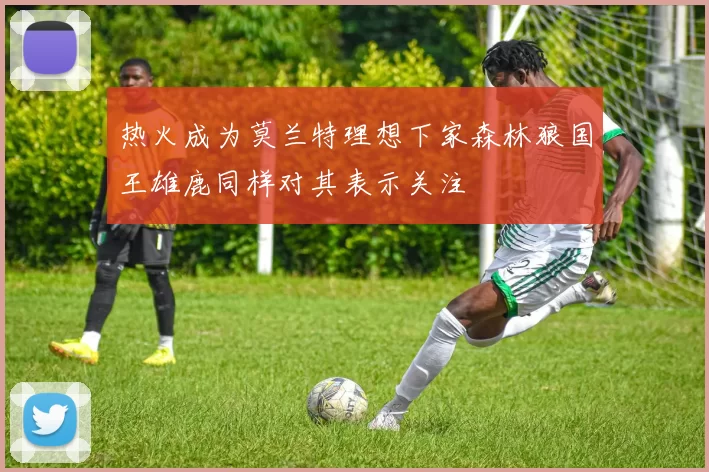 热火成为莫兰特理想下家森林狼国王雄鹿同样对其表示关注