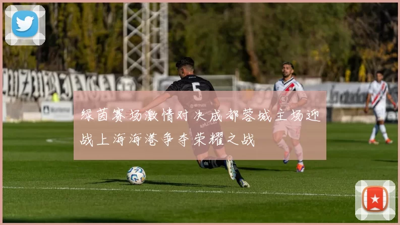 绿茵赛场激情对决成都蓉城主场迎战上海海港争夺荣耀之战